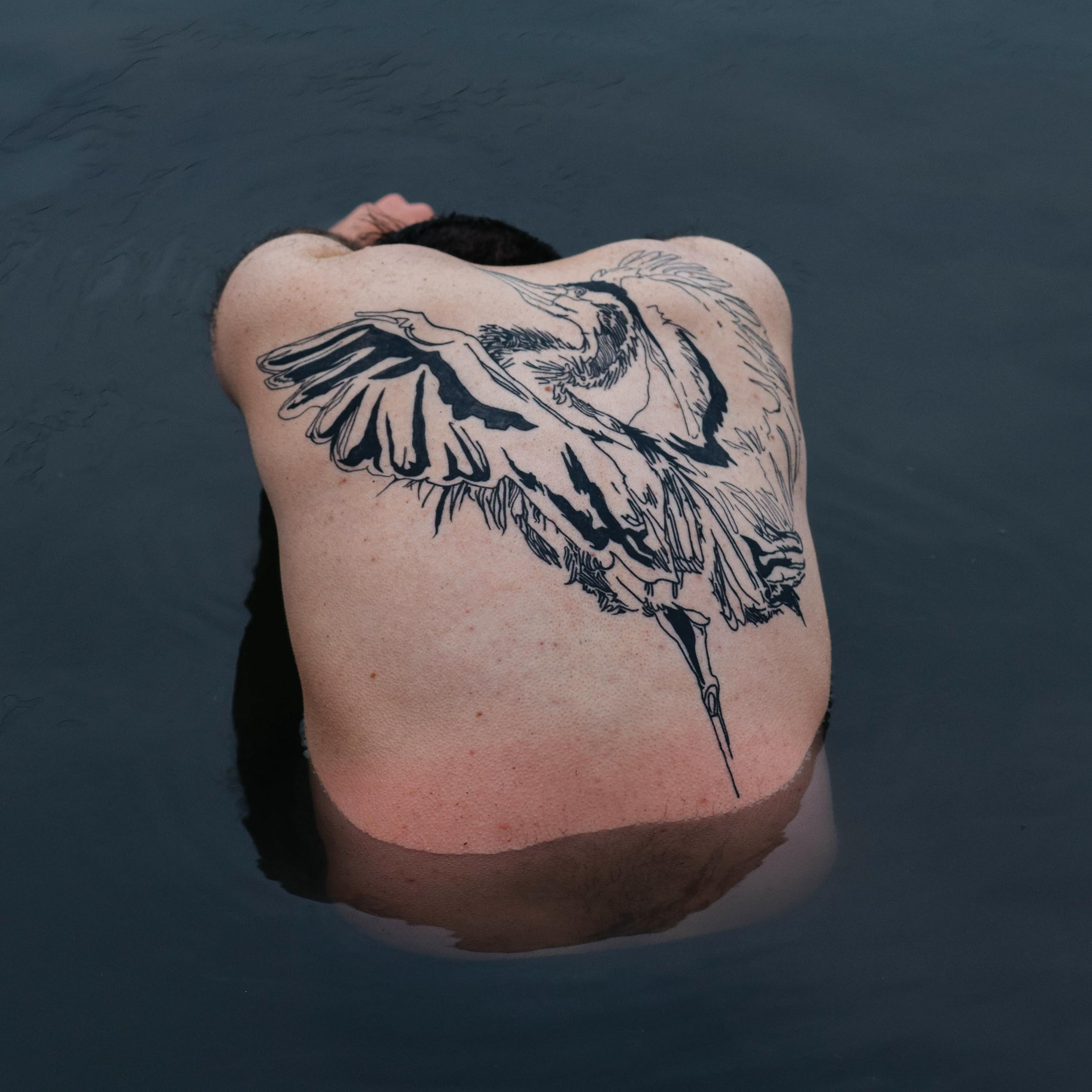 Blue Heron [VINYL]