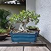 Product Photo 3