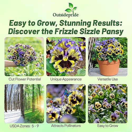 Miniatura 2 de Outsidepride Pansy Frizzle Sizzle - Planta interior de interior o jardín al aire libre para camas, macetas y recipientes, 50 semillas