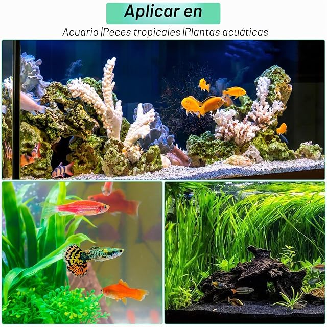 Foto 3 de 8 de Heveer Monitor del CO2 del Acuario con Ventosa Monitor de Acuario de Vidrio CO2 Gota de Vidrio Comprobador…