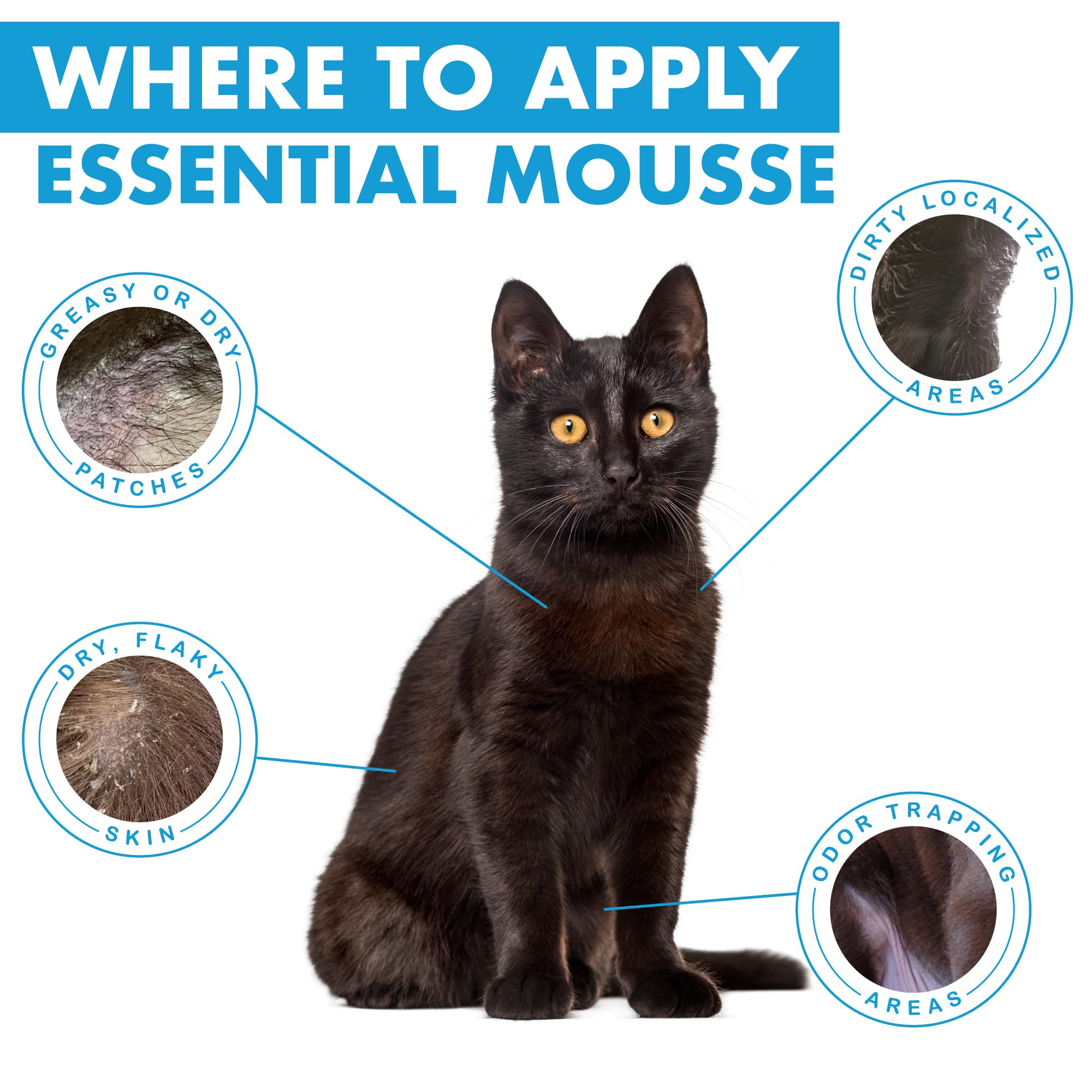 Dermoscent Essential Mousse pour Chat | Soin Nettoyant Protecteur sans Rinçage | 150 ML | Usage Fréquent