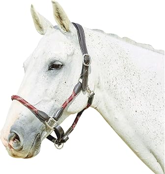 Kincade Leather Rope Halter, Burgundy/Brown, Cob