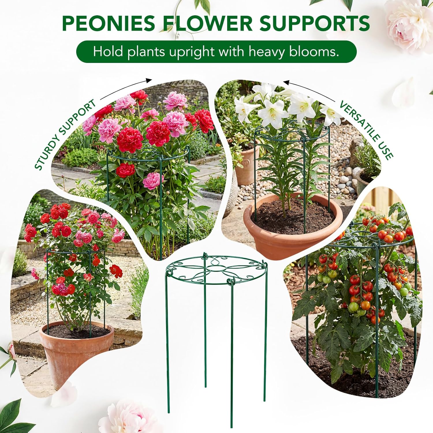 6 Pack 16 x 24 Inch Peony Cages and Supports, 16" D x 24" H Grow Through Plant Support Grid Brace for Outdoor Plants Flower, Metal Peony Stake Peony Ring Hoops Frame Support for Rose Tomato Vegetables