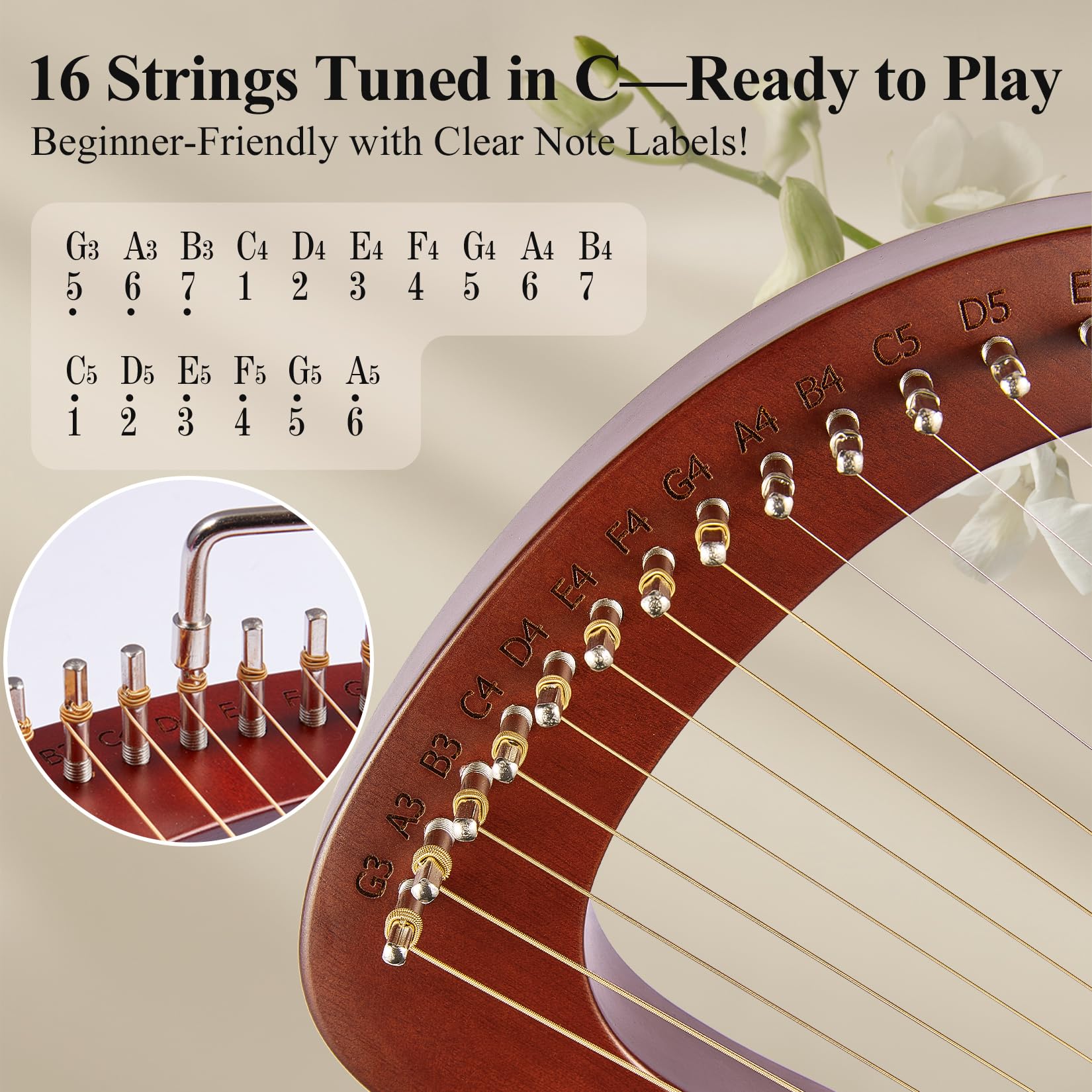 Lyre Harp Kit, Arpa in Mogano 16 Corde, Strumenti Musicali a Corda con Chiave, Istruzioni per L'Uso (Lingua Italiana Non Garantita) per Principianti e Adulti