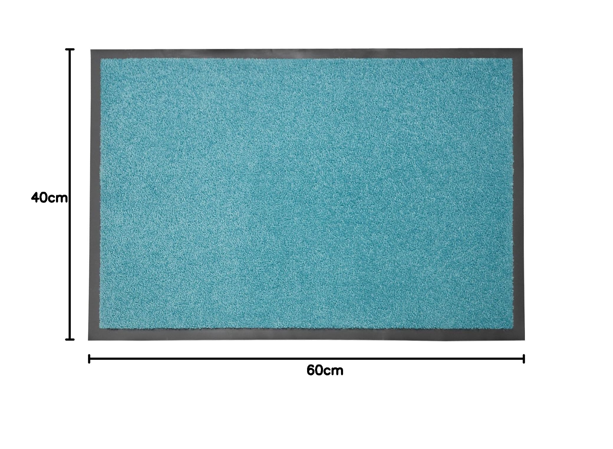 Floordirekt Schmutzfangmatte Monochrom | Fussmatte in 10 Größen & 8 Farben | Türmatte für innen & außen (40 x 60 cm, Türkis)