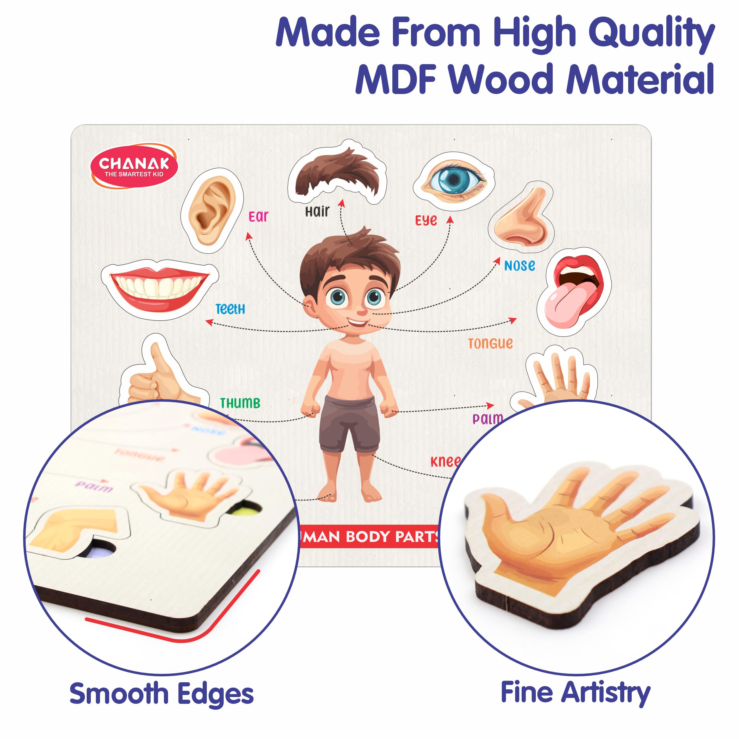 Aditi Toys Wooden Human Body Parts Puzzle with Picture Educational 10 Piece Anatomy Board for Kids Montessori Learning Puzzle for Toddlers & Preschoolers, Nursery and Kindergarten Age Above 2+ Years - Image 5 thumbnail