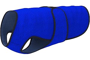 Evaporative Cooling Jacket: A Cool Haven for Your Dog This Summer