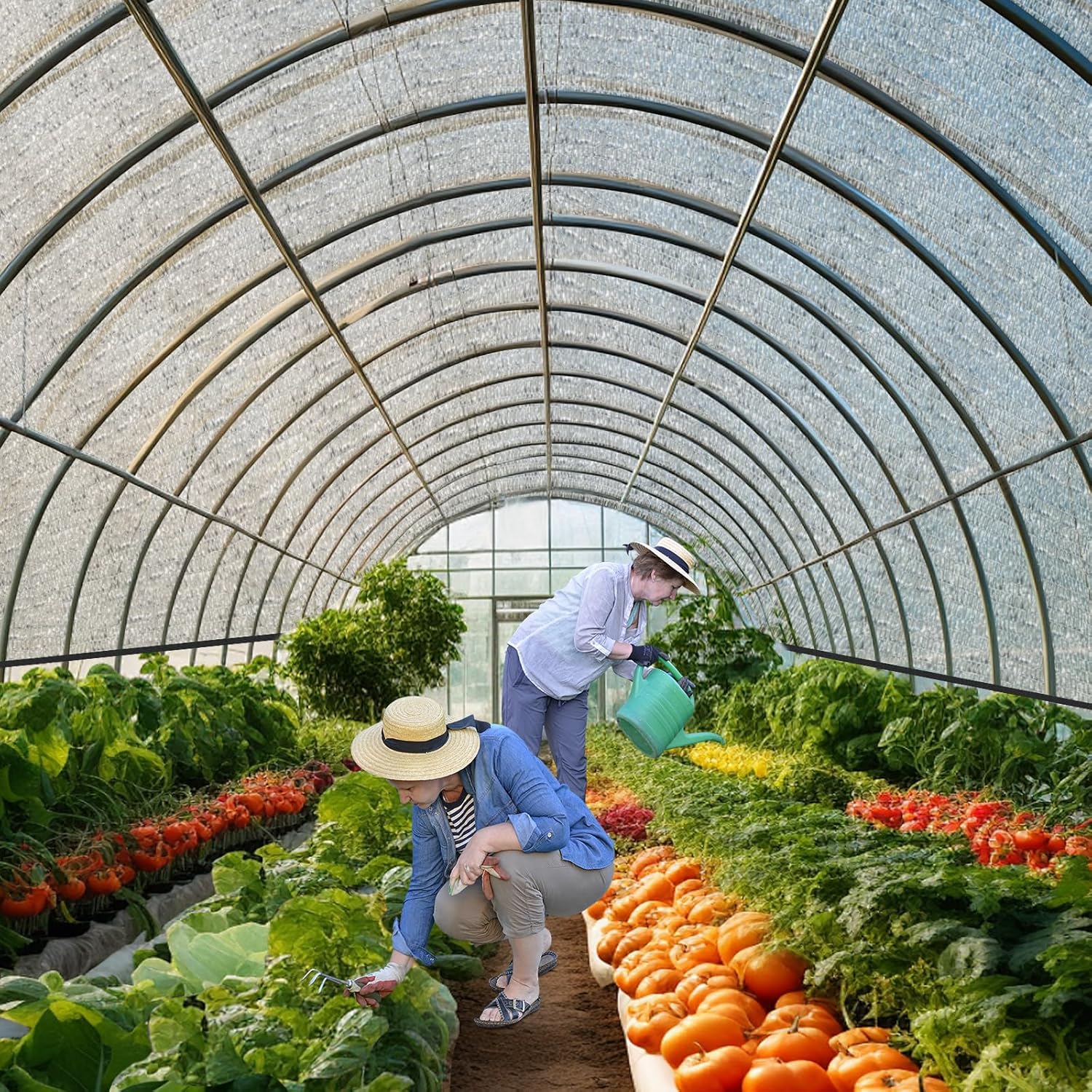 https://m.media-amazon.com/images/I/81DbO7ONRVL._AC_SL1500_.jpg