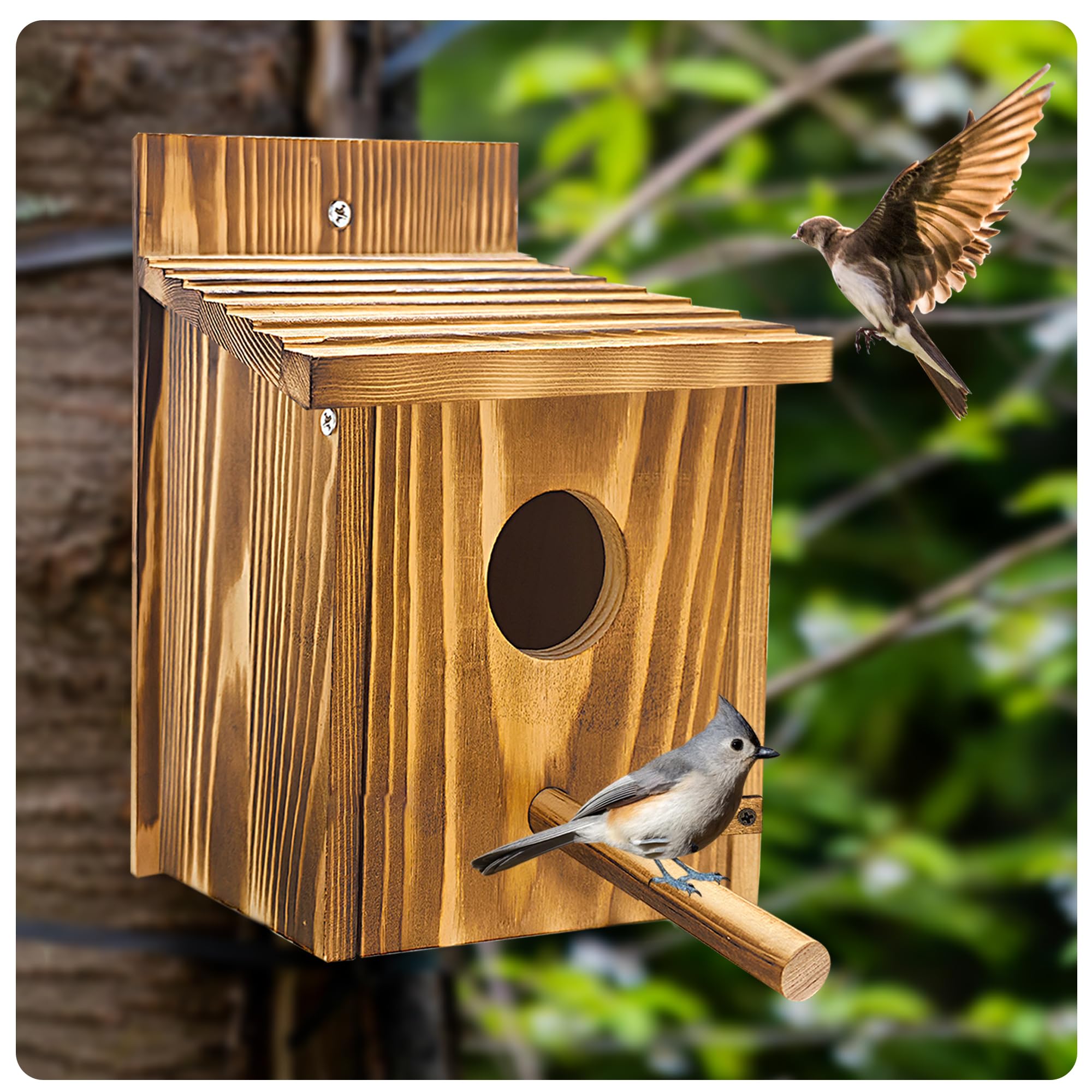 Casas de pájaros para exteriores, casa de pájaros de madera con percha desmontable, casas de pájaros azules de pinzón para colgar en el exterior para ver cabañas de campo