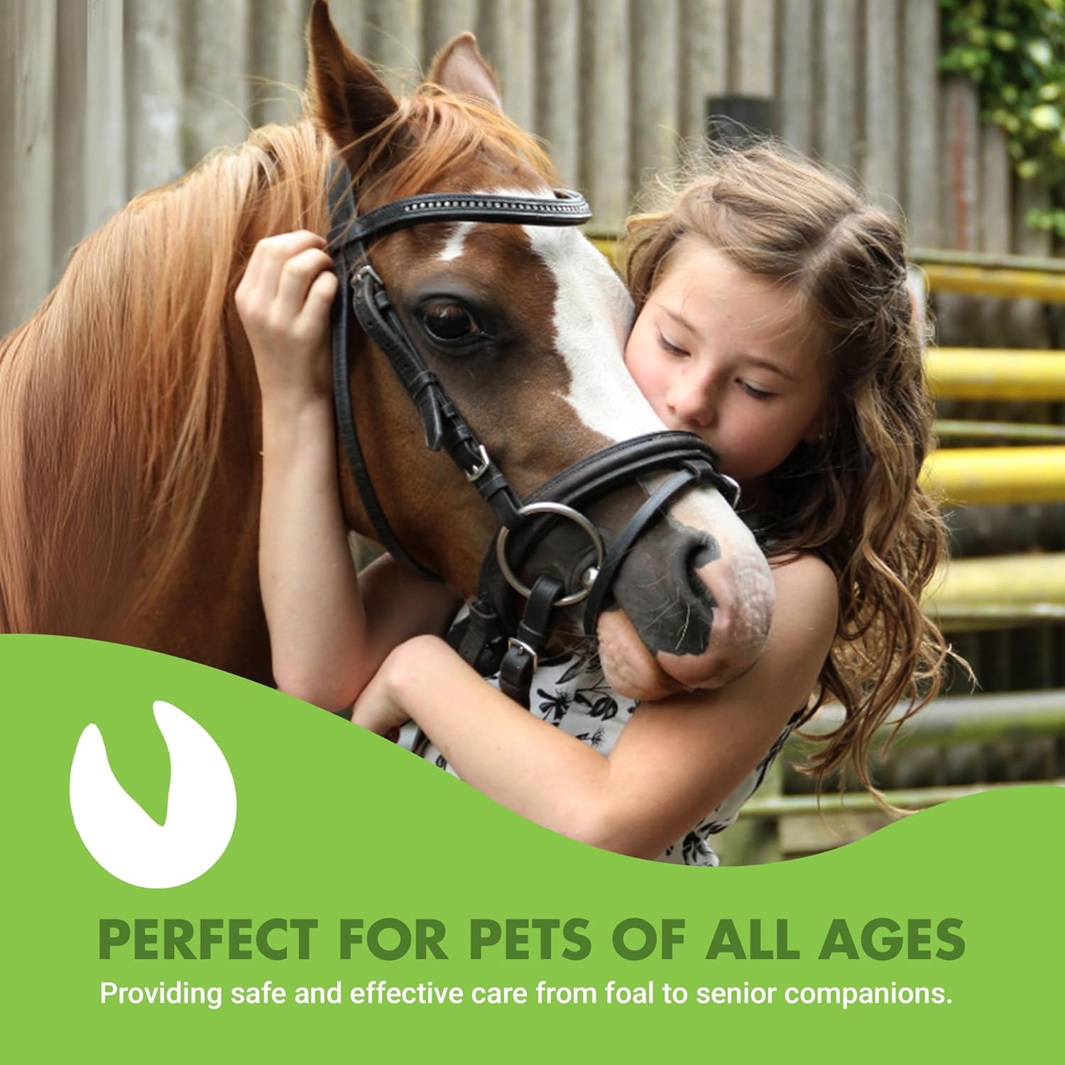 LIQUID-VET Equine Hock & Joint Advanced Formula, Peppermint Candy Flavor, 32 oz
