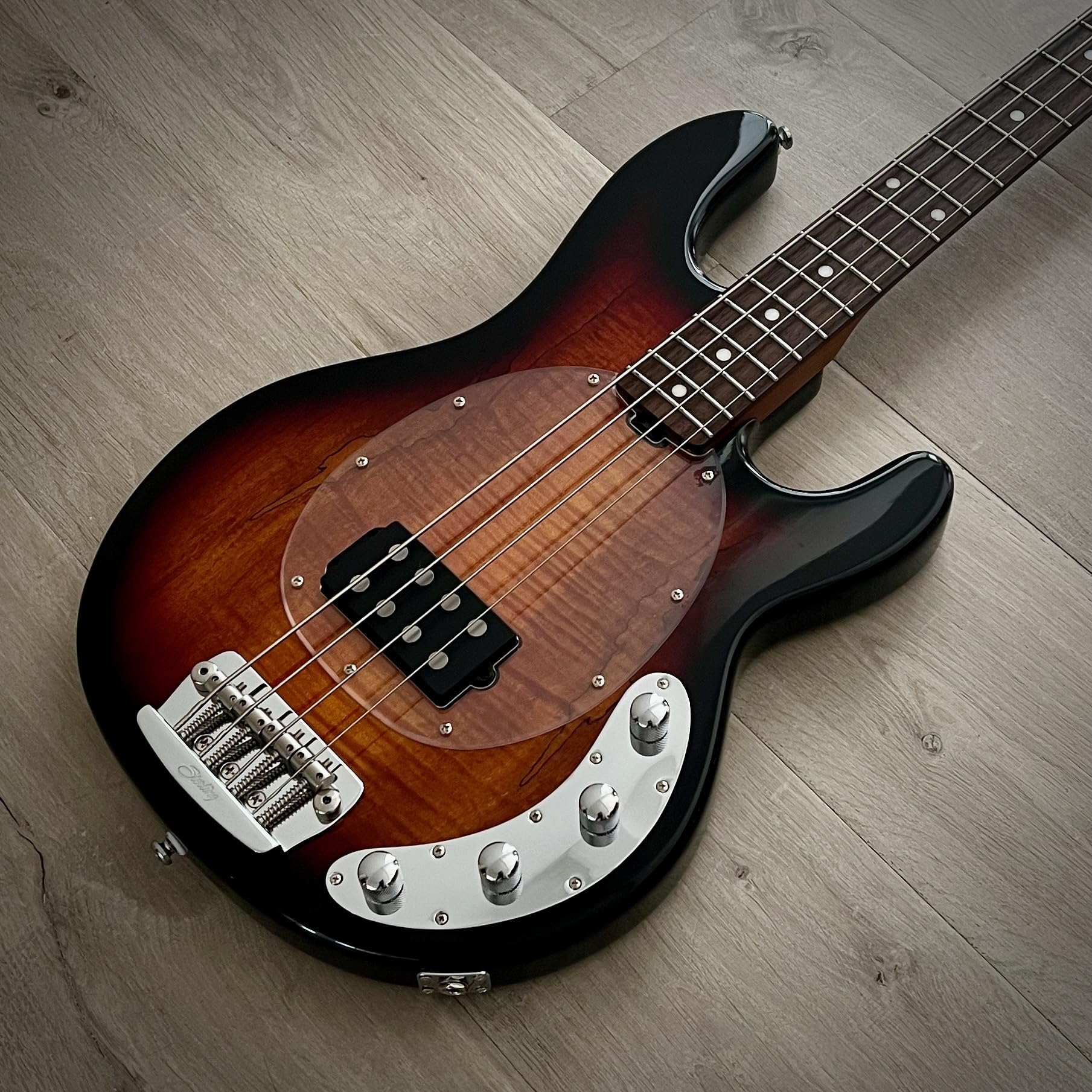 Amazon | Sterling By Music Man StingRay RAY34 ベースギター