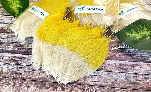 Miniatura 4 de JAKAPAN Hojas de esqueleto decorativas de dos tonos, árbol de goma natural, álbum de recortes, manualidades, tarjeta de boda, hojas pequeñas, uso