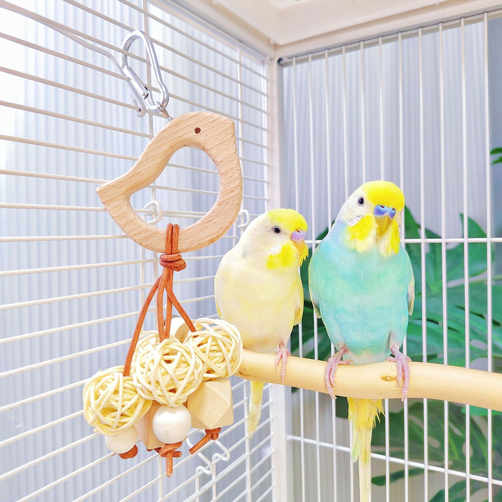 Amazon | TARATI インコ おもちゃ鳥 おもちゃ鳥の止まり木 セキセイ