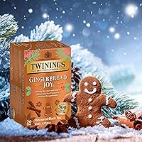 Vista 469 de Twinings Blackcurrant Breeze - Té negro, 6 paquetes de 20 unidades, bolsas de té envueltas individualmente, dulce, sabor picante, con cafeína