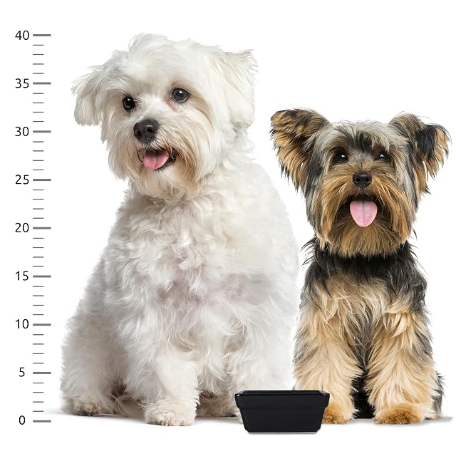 Foto 8 de 8 de Comedero Bebedero De Cerámica Cuadrado para Perro Gato Cachorros Gatitos Mascotas 0,2 L Recipiente Comida Bol…