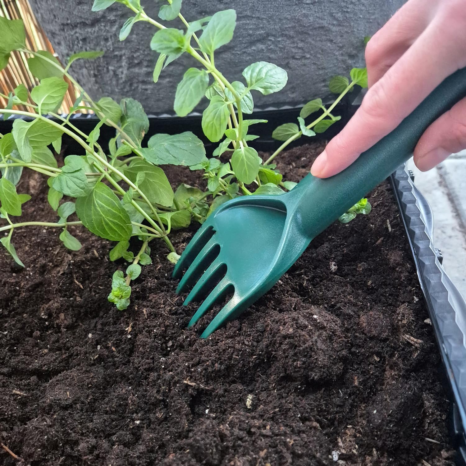 COM-FOUR® set di attrezzi da giardino da 4 pezzi in plastica robusta: cazzuola larga, cazzuola stretta, rastrello a mano e coltivatore per piante e giardinaggio (Set 1-4 pezzi)