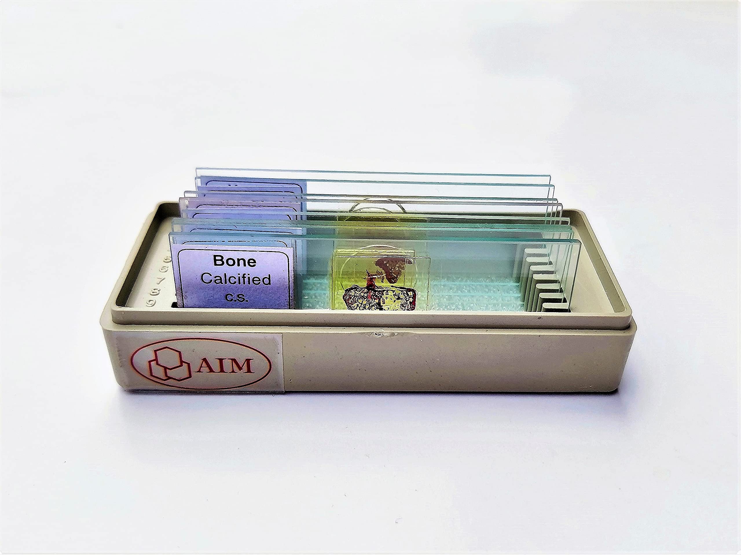 AIM Bone & Cartilage Slides - Set of 8 (Microscopic Prepared Slides)-picture-28