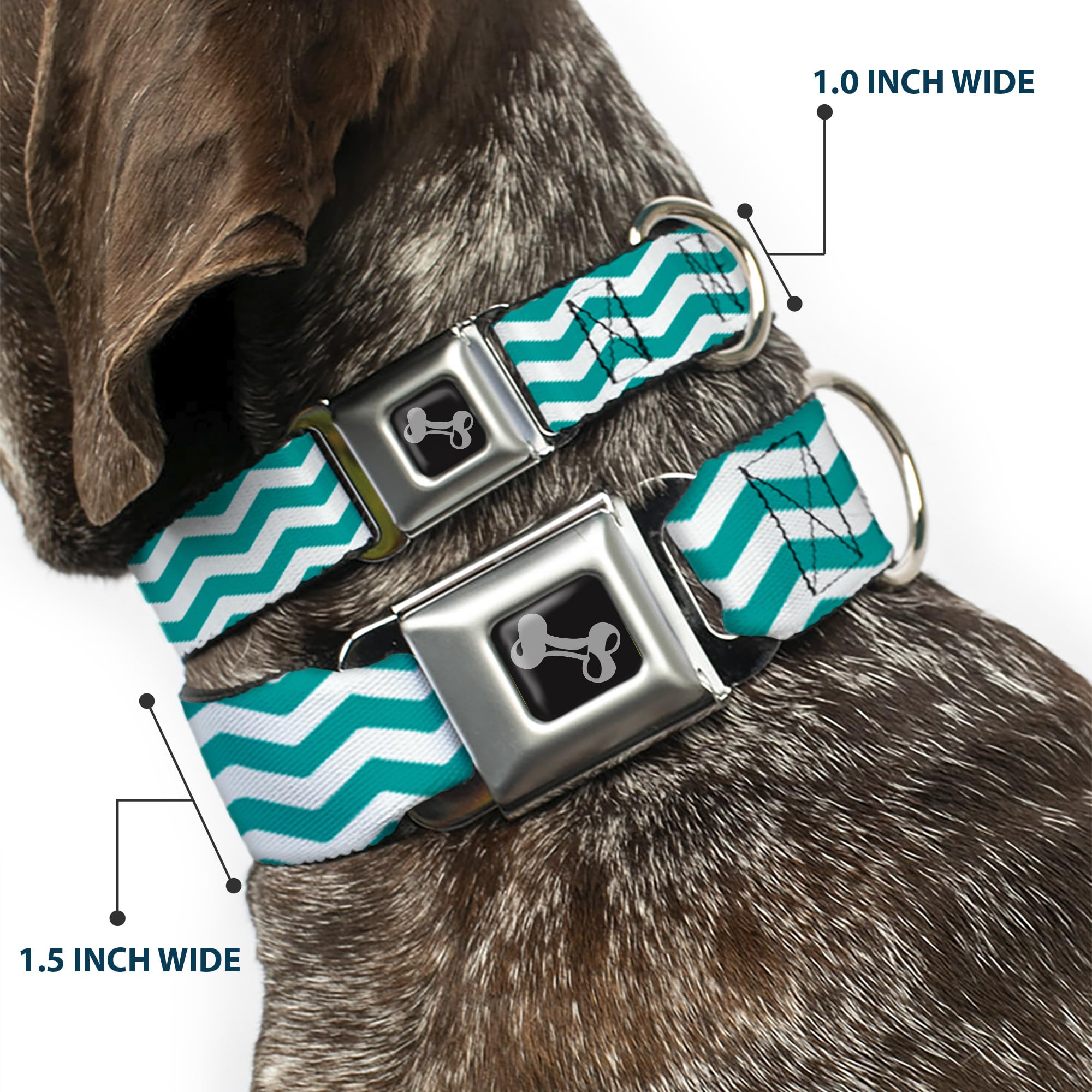 Buckle Down 9 – 38,1 cm Chevron a Righe Bianco/Verde Acqua Collare Bone, Piccolo