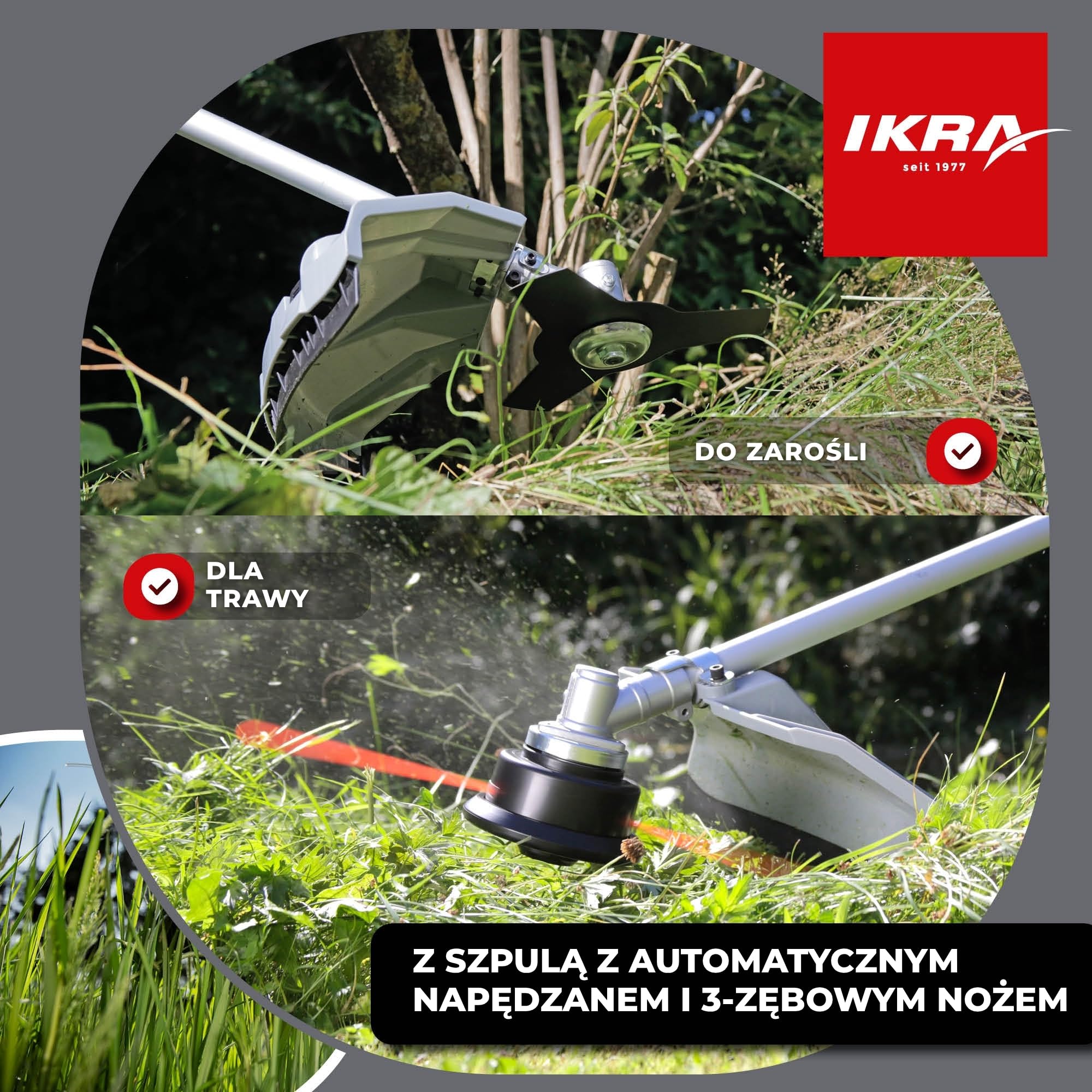 IKRA Podkaszarka spalinowa IBF 4342 szpula żyłkowa,trójząb,szelki | Mocny silnik 2-suwowy 42,7 cm³, 1,25 kW, łatwy start, uchwyt rowerowy,beznarzędziowa wymiana filtra,dzielony wał aluminiowy