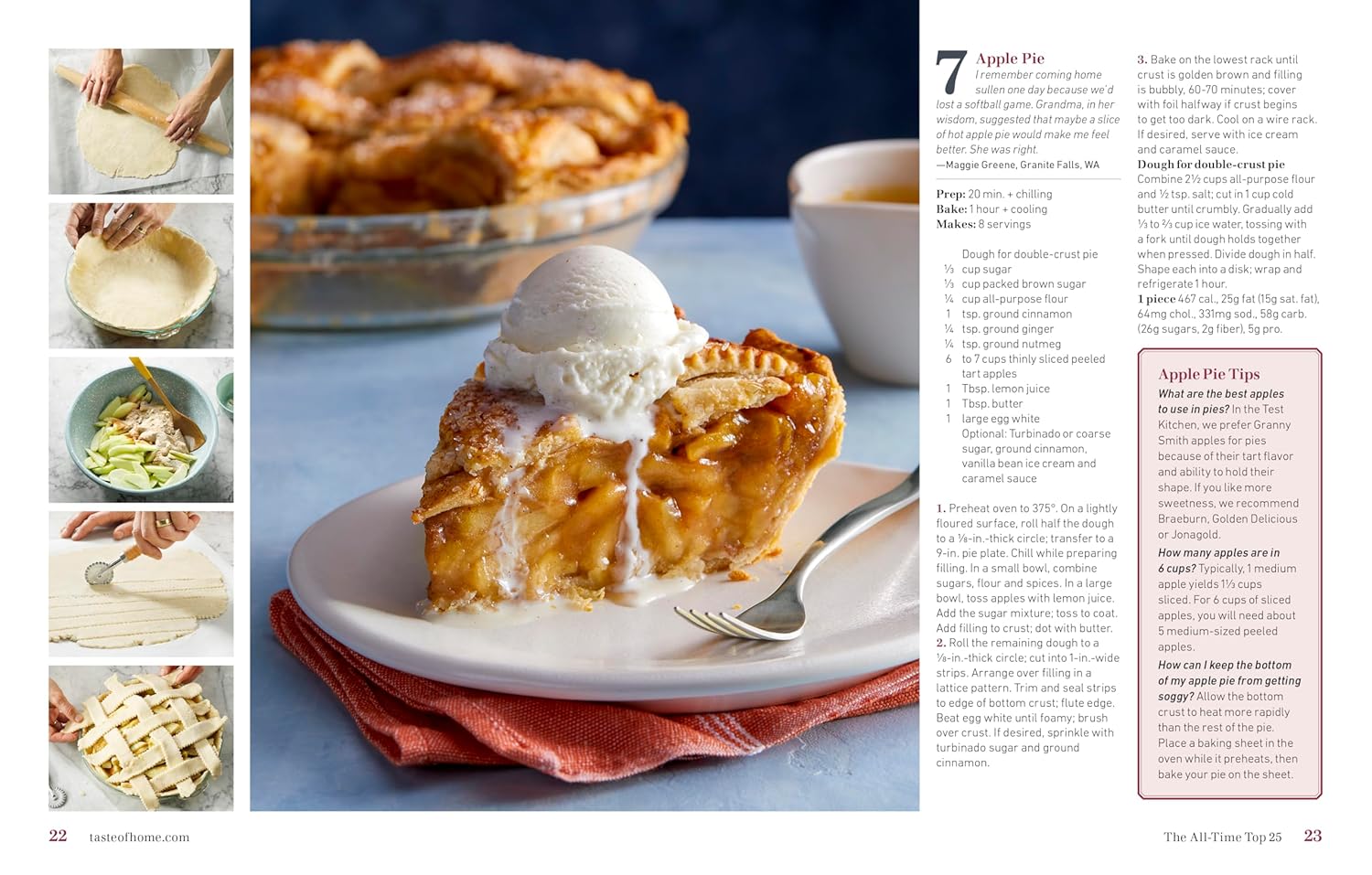 Taste of Home Comfort Food Classics: 200+ HEARTWARMING DISHES & HANDY HINTS - Image 3