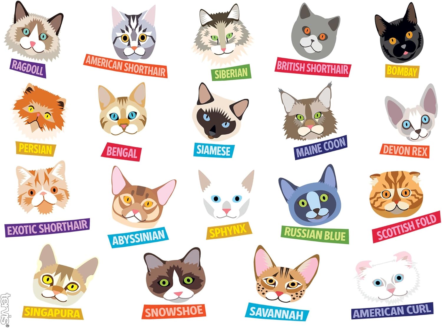 Tervis Flat Art Cats Made in USA Double Walled Insulated Tumbler Travel Cup Keeps Drinks Cold & Hot, 24oz, Clear - Image 2