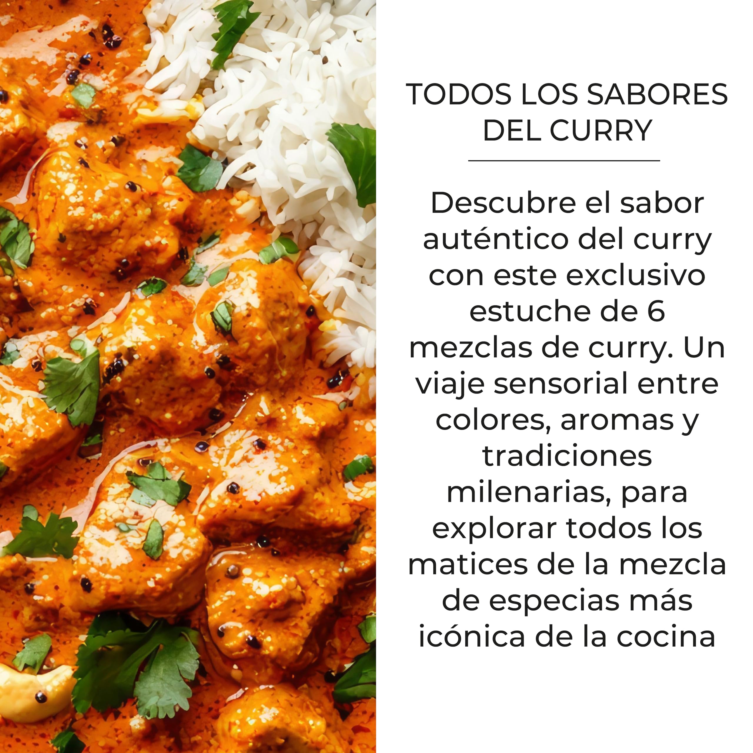 Set 6 Currys del Mundo Bembo – Mezcla de Especias Curry Gourmet – Madras, Goa, Malabar, Java, Inglés, Thai Rojo – Regalo Cocina