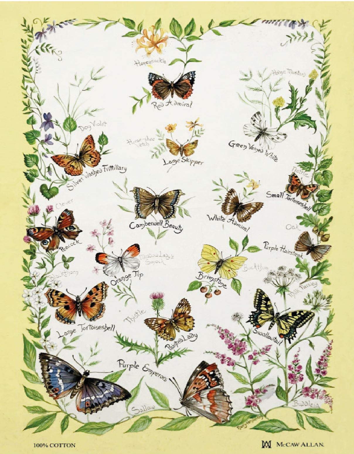 Samuel LamontFloral Butterflies Cotton Tea Towel