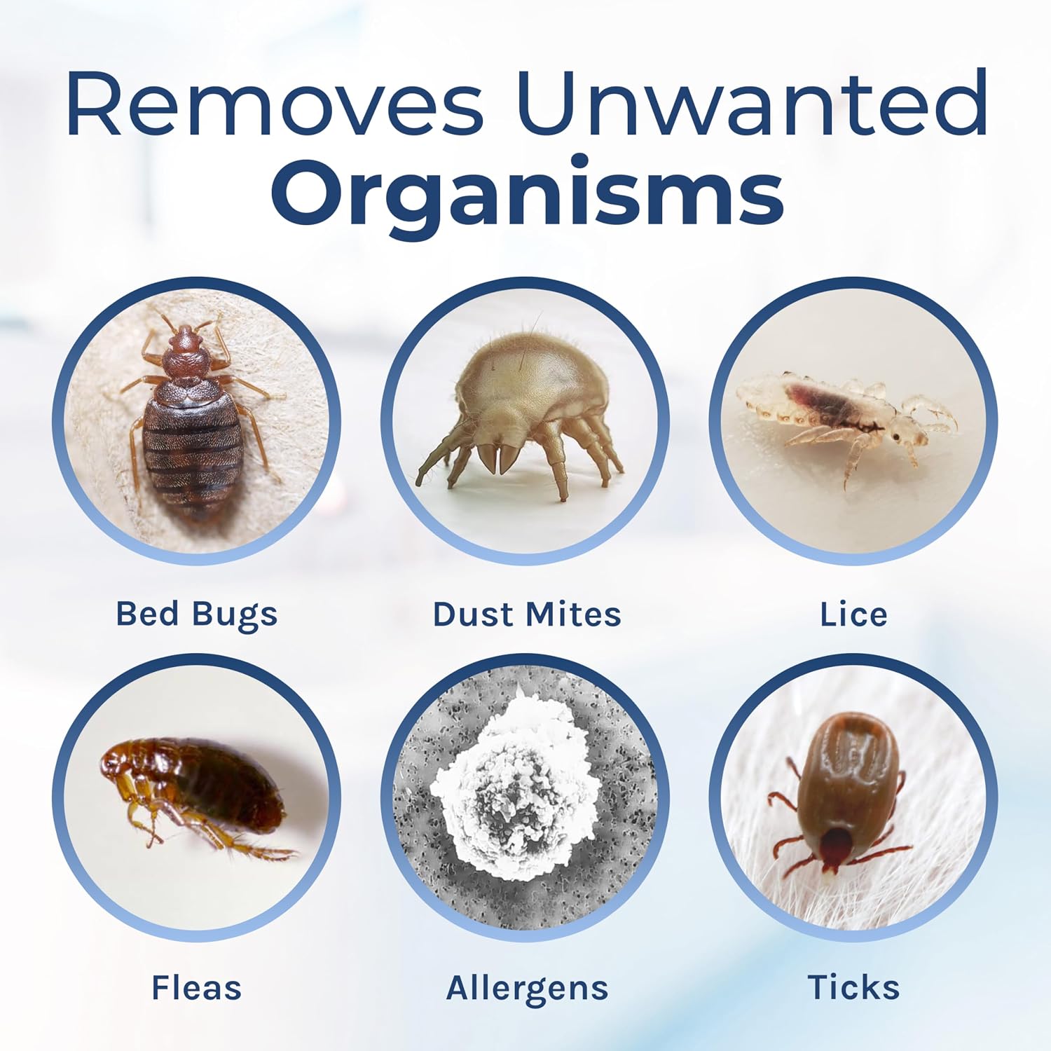 Hygea Natural Spotless Essentials Bed Bug/Lice/Mite Spray/Cleaner, Laundry