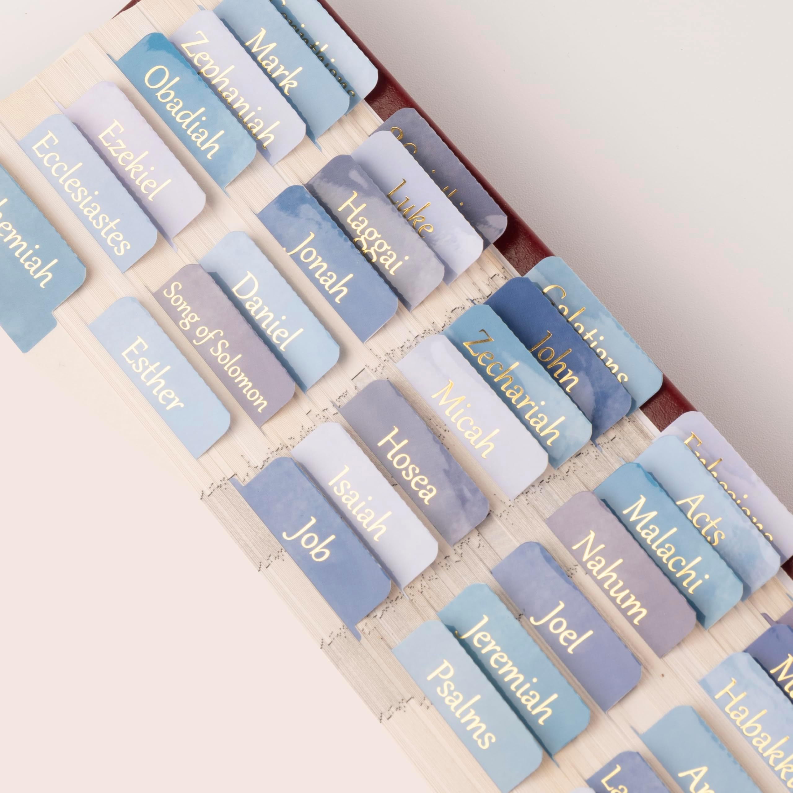 Lumintutu Laminated Bible Tabs, Gold Foil Large Print Study Journaling Supplies, Christian Gift For Women And Men, Index Tabs Old New Testament, She Reads Truth (Watercolor Blue)