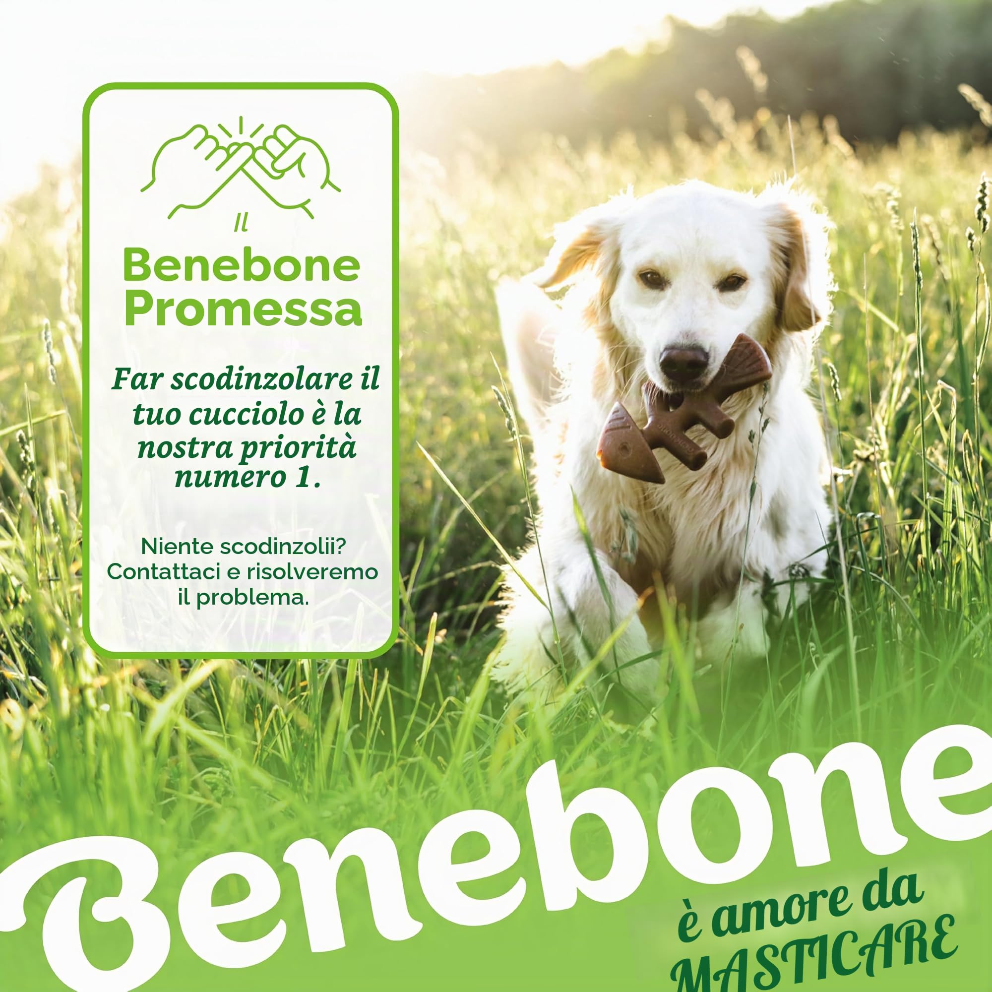 Benebone Durable Dog Chew Toy Box for aggressive Chewers with Wishbone, Fishbone, Stick & Zaggler, Medium