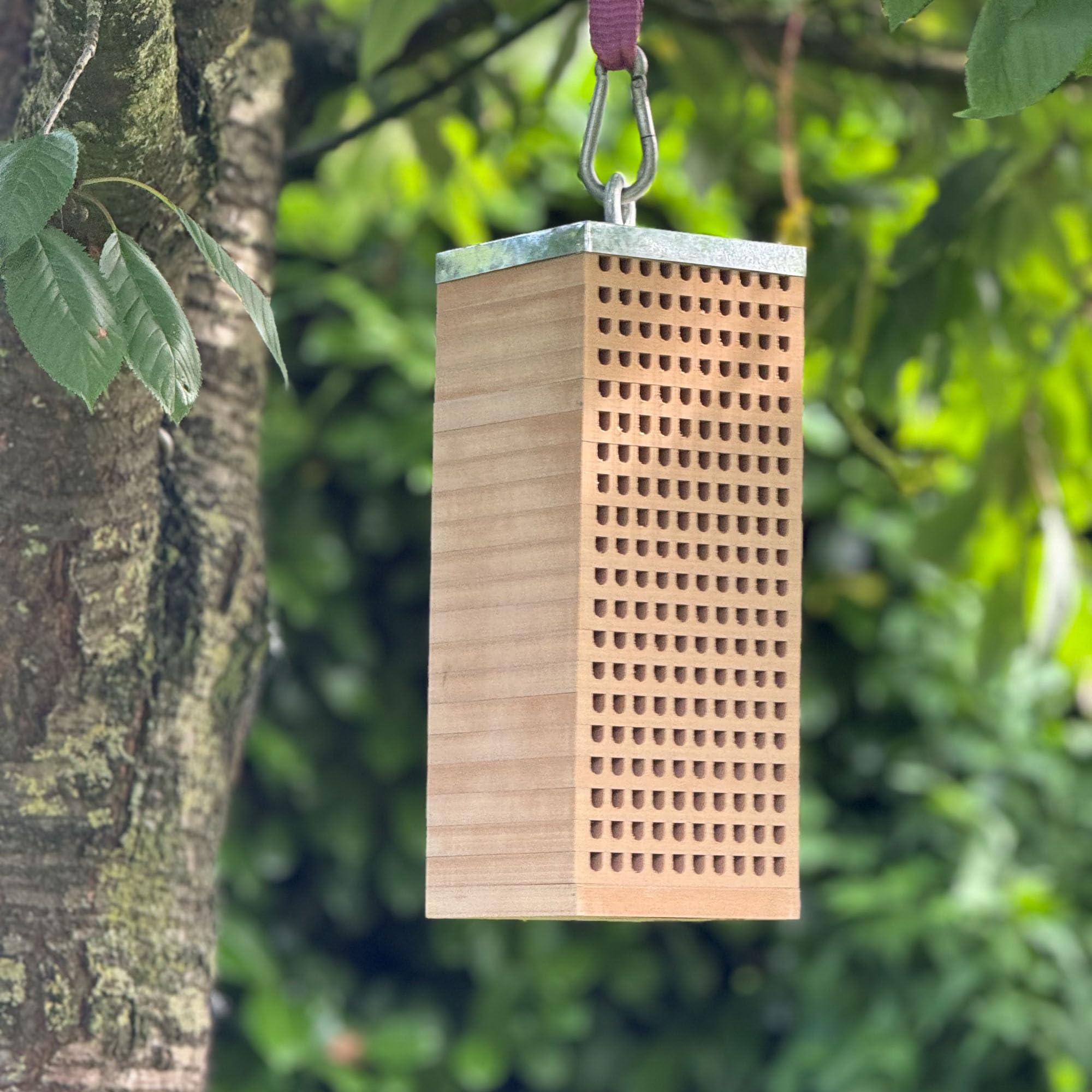 UNUS Bienenhotel Mauerbienen Holz mit 200 Löchern Zinkdach Insektenhotel 40x16x16cm