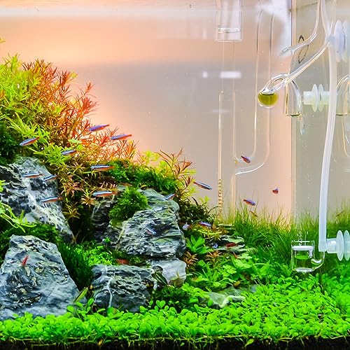 Miniatura 6 de uxcell 5 unids 0.315 in a 0.217 in 2 vías línea de aire tubo divisor conector pecera tanque oxígeno tubo aire adaptador para acuario, azul