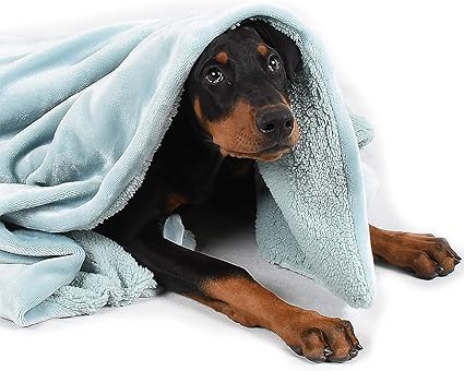 big dog blankets