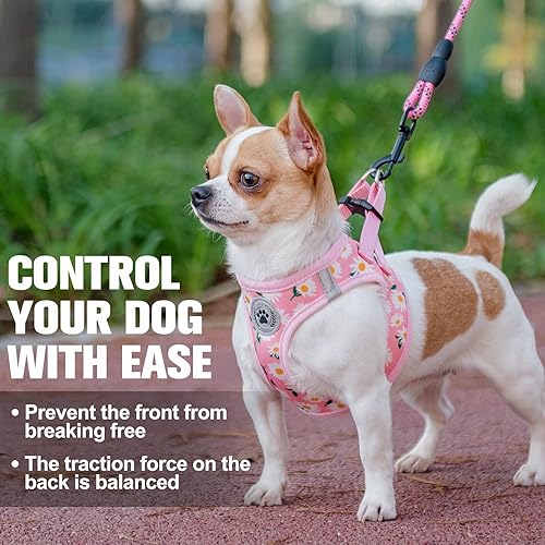 Miniatura 6 de BEAUTYZOO Conjunto de arnés y correa para perro arnés reflectante con patrón floral sin tirones sin estrangulamiento arnés para cachorros XXS XS S