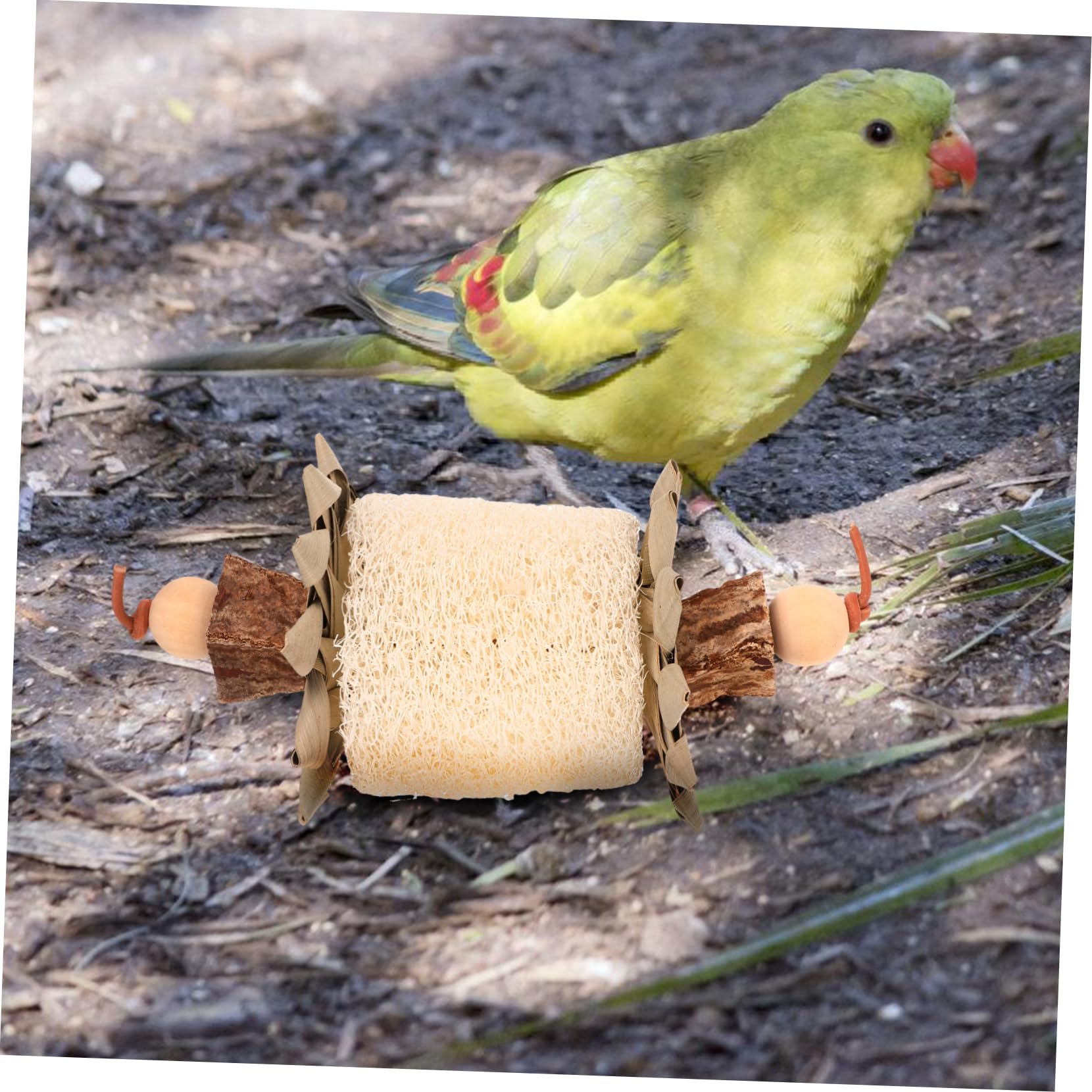Beaupretty Jouet à Mâcher pour Oiseaux Jouet Luffa pour Perroquet pour Cage Pendentif pour Oiseaux pour Perroquets Et Conures