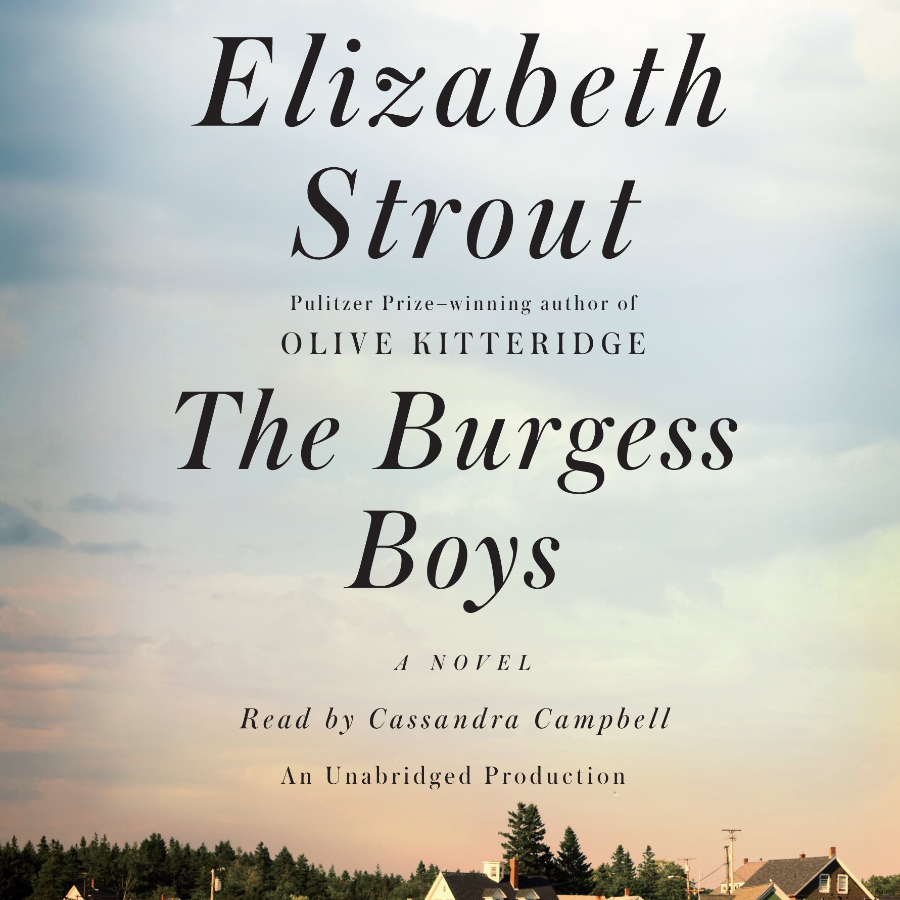 Cover art for The Burgess Boys
