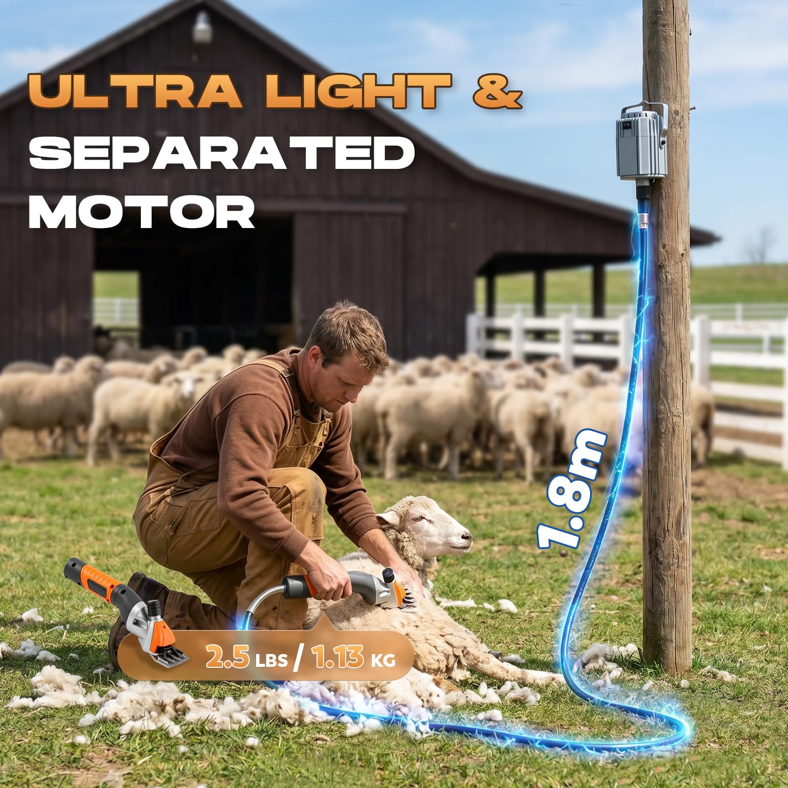 CGOLDENWALL Máquina Esquilar Ovejas 1000W, Tipo Colgante, Cabras | Profesional, 2800RPM, 4 Cuchillas Acero Alto Carbono, 9/13D Recta & Curvada, Alpacas, Naranja