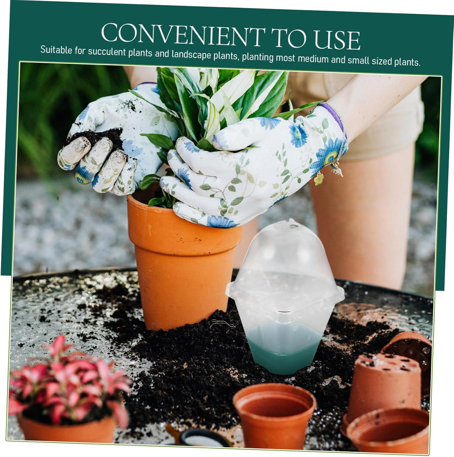 BESPORTBLE 5pcs Drainage Holes Plant Pot Plastic Outdoor Nursery Pot for Plants Small for Succulents Garden Planter for Home Use