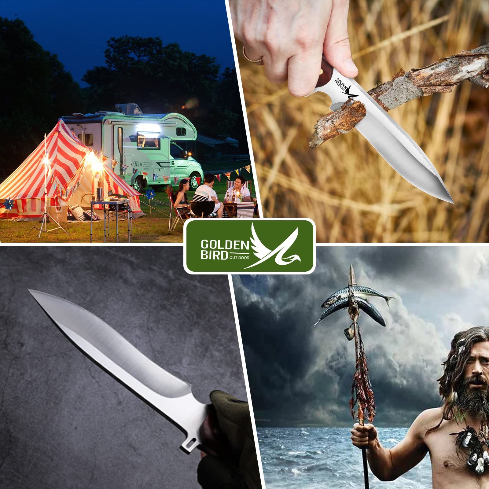 Golden Bird Cuchillo de Caza Cuchillo Bushcraft con Funda | Hoja de Acero D2 Cuchillo de Supervivencia de Hoja Fija Cuchillo Bowie con Mango de Palisandro