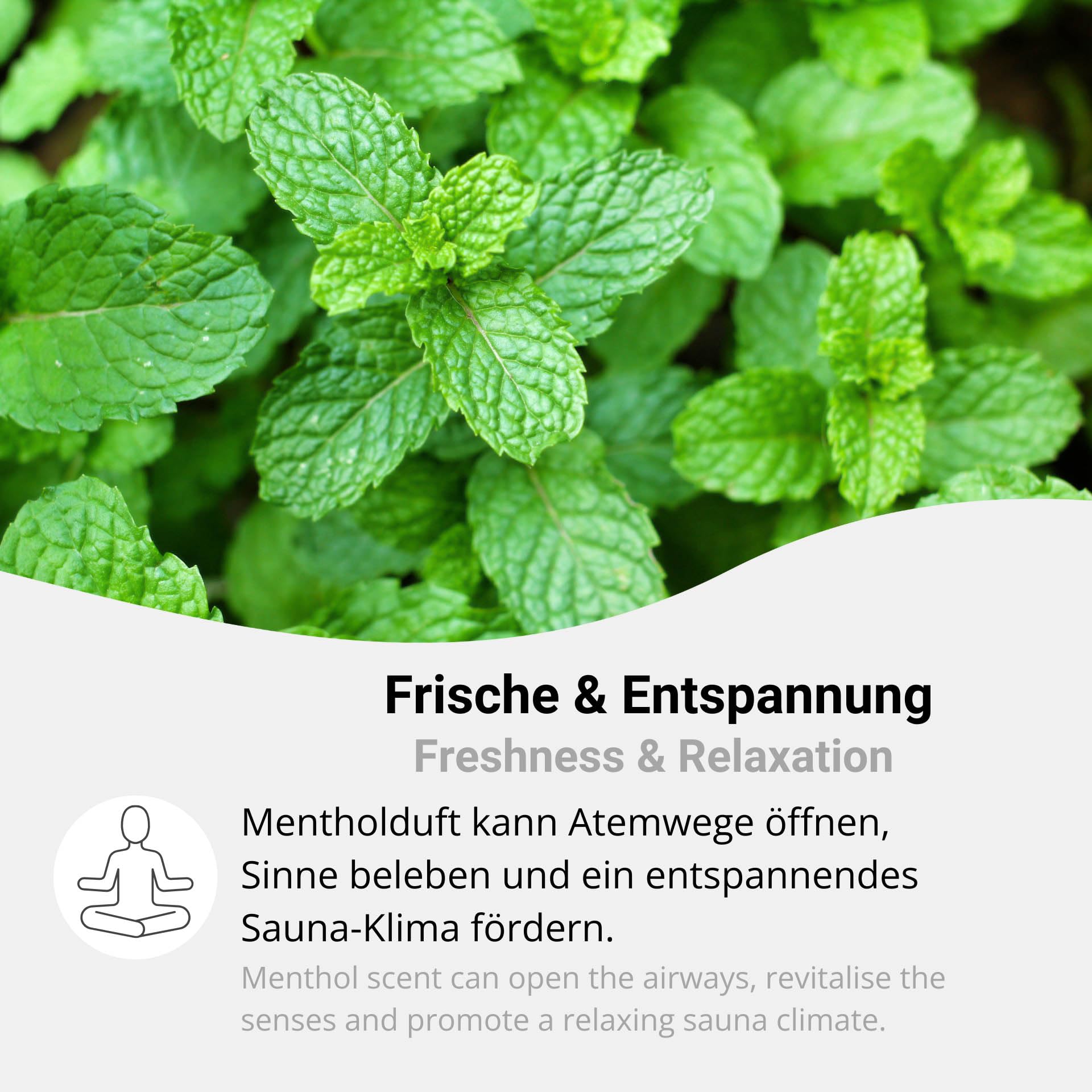 Mentholkristalle aus 100% Minzöl 200g Sauna Aufguss reines Menthol intensiv und wohltuend