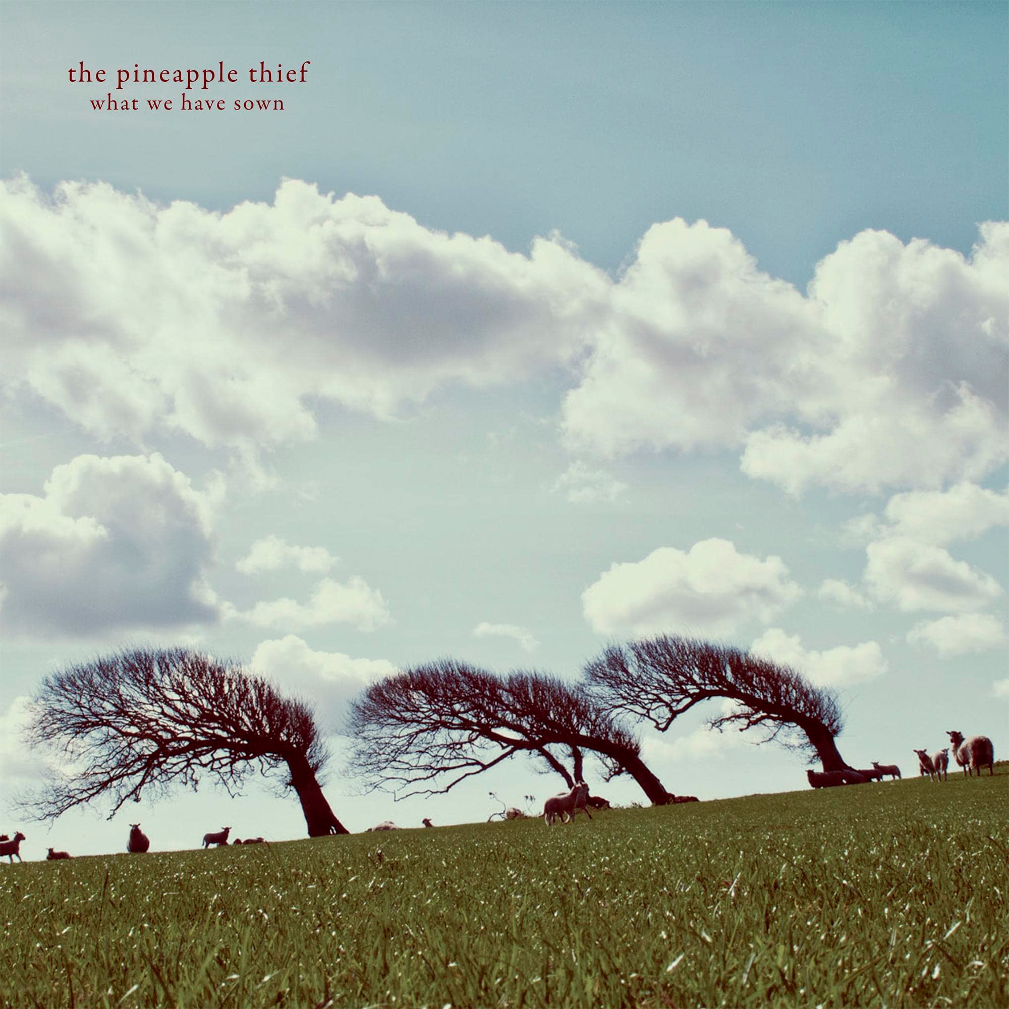 What We Have Sown [VINYL]