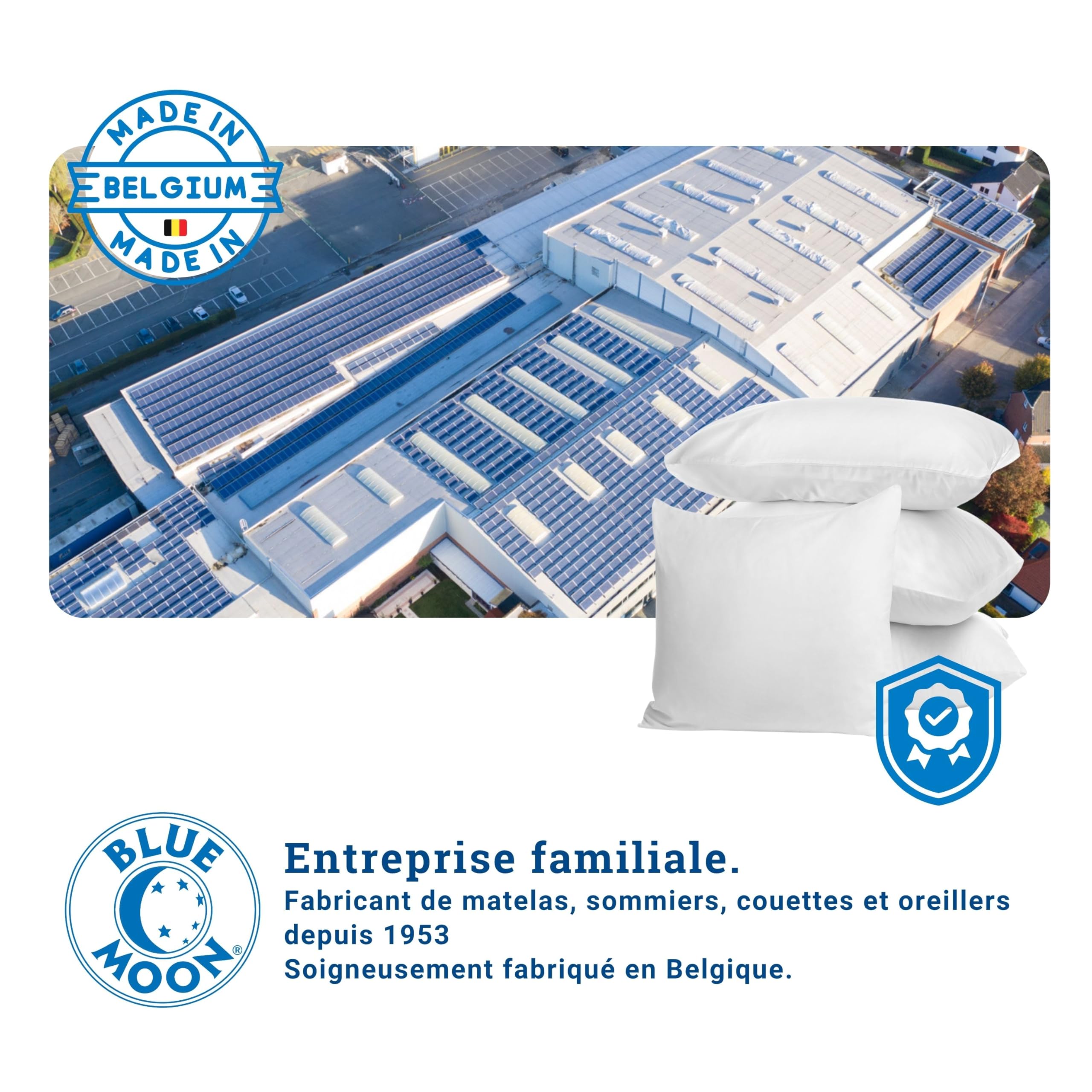 Blue Moon Lot de 4 Oreillers 60x60 Moelleux | Confort Hôtellerie | Fibres Creuses Siliconées 580 g | Housse Microfibre | Lavable en Machine | Hypoallergénique | Fabriqué en Belgique
