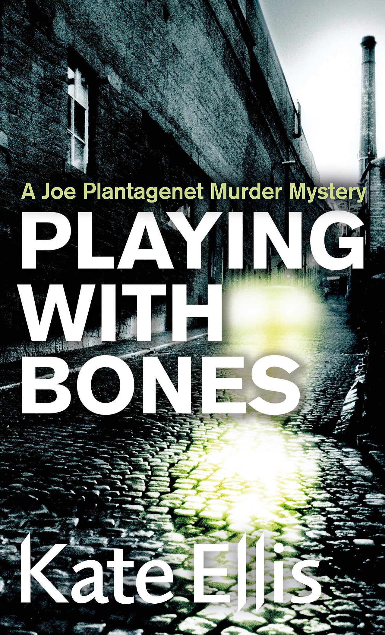 Playing With Bones: Book 2 in the DI Joe Plantagenet crime series