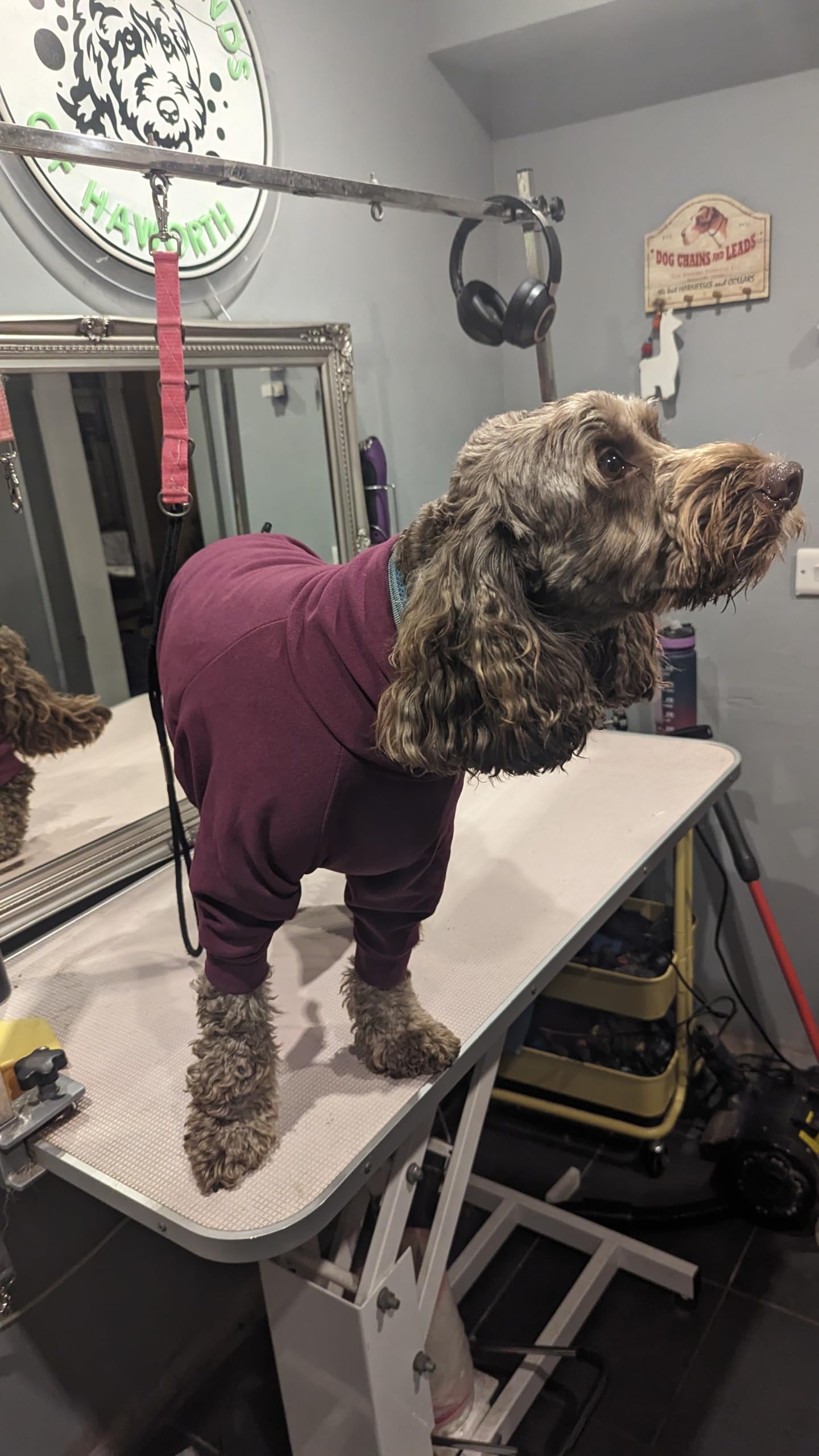 Aqua fleece dog coat water resistant (Purple, XL)