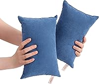 BEDSUM 2 Pack 11x7 Inch Microfiber Mini Pillows for Travel, Pets, Neck, Back & Joint Support - Soft, Breathable, Machine Washable, Denim Blue