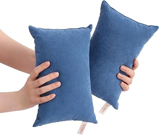 BEDSUM 2 Pack 11x7 Inch Microfiber Mini Pillows for Travel, Pets, Neck, Back & Joint Support - Soft, Breathable, Machine Washable, Denim Blue