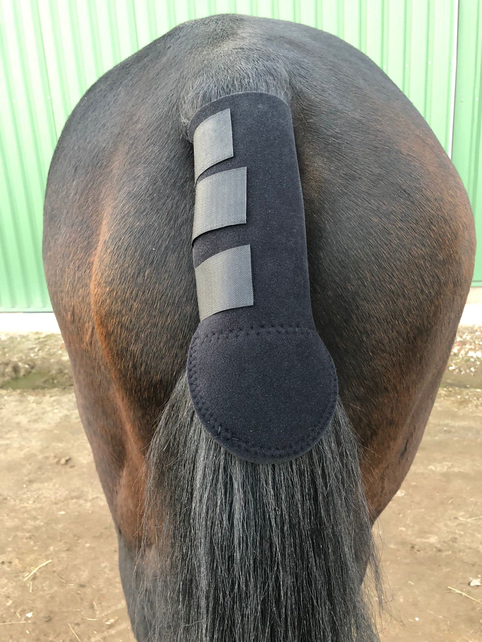 Pferdelinis Schweifschutz für Pferde Schweifschoner Pferd aus Neopren ideal für den Anhänger Transport oder als Scheuerschutz (1x Schwarz)