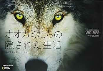 81DcqUPSgPL._AC_UF350,