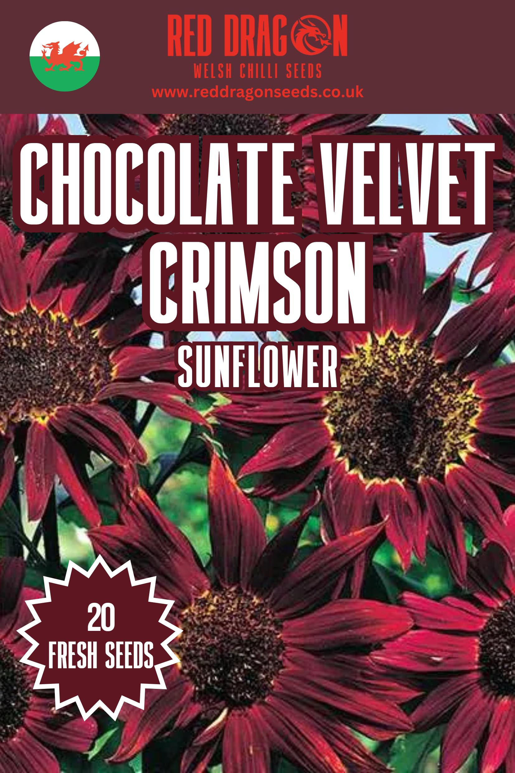 Sunflower Seeds. (Chocolate Velvet) โ image 1