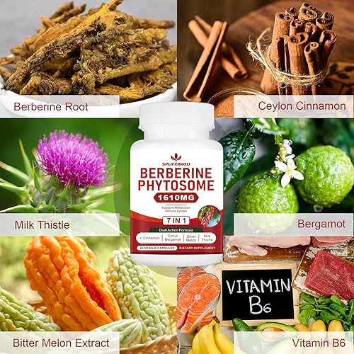 Miniatura 4 de Spliferkou Fitosoma de berberina 7 en 1 con canela de Ceilán, el complejo de berberina apoya el metabolismo, la función hepática y el sistema